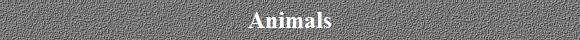 Animals