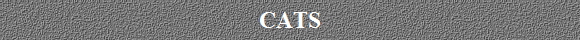 CATS