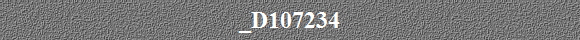 _D107234