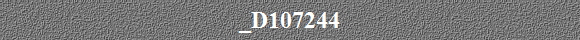 _D107244