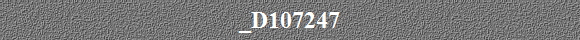 _D107247