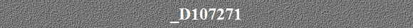 _D107271