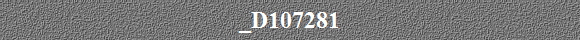 _D107281