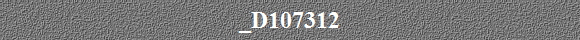 _D107312
