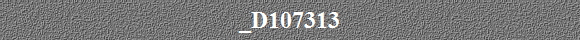 _D107313