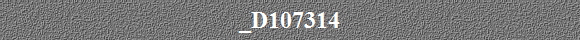 _D107314