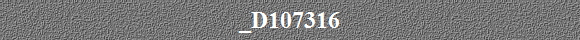 _D107316