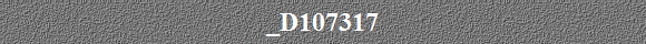 _D107317