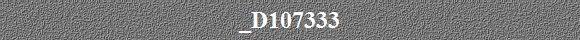 _D107333