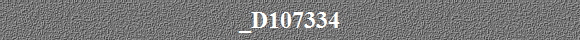 _D107334