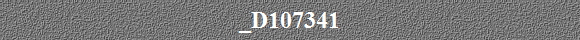 _D107341