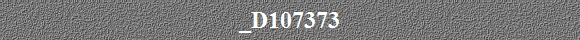 _D107373