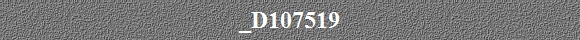 _D107519