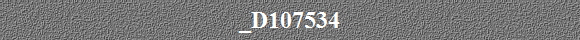_D107534