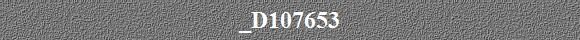 _D107653