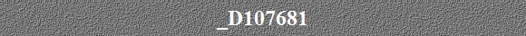 _D107681