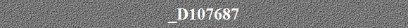 _D107687