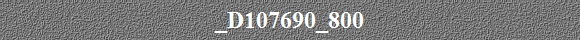 _D107690_800