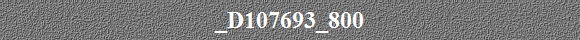 _D107693_800