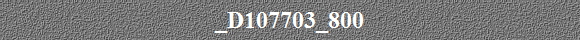 _D107703_800