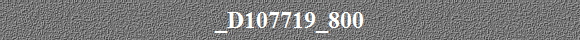 _D107719_800