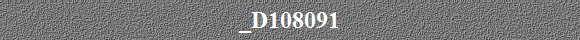 _D108091