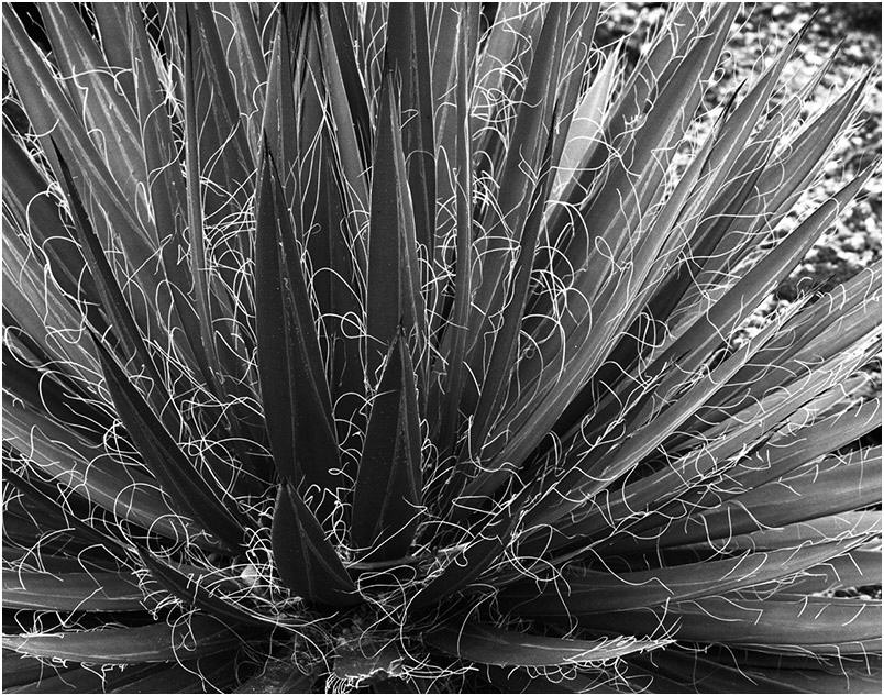 CA_120_XX_04_09a_scrn