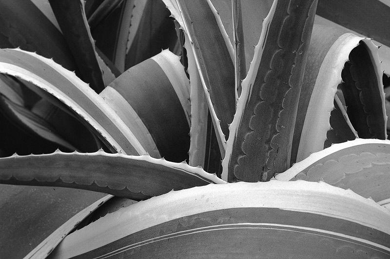 CA_120_XX_04_12_scrn