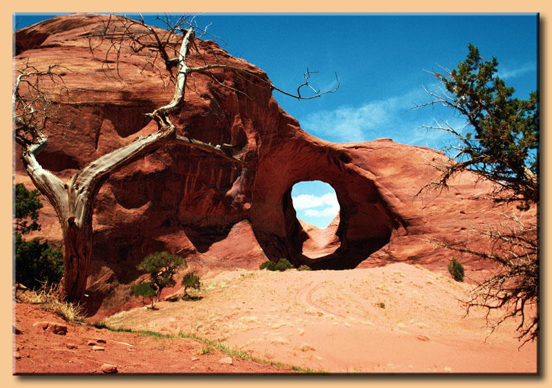 r_ohr_des_windes_800